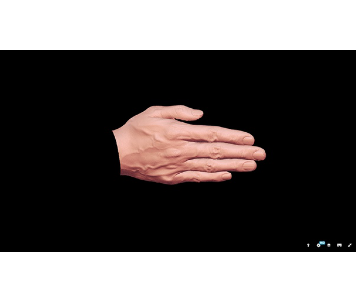 Escáner 3D Thunk3D Fisher S manual