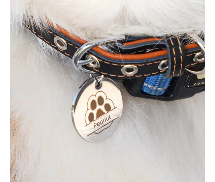 Impresora 3D Bambu Lab H2D 10W