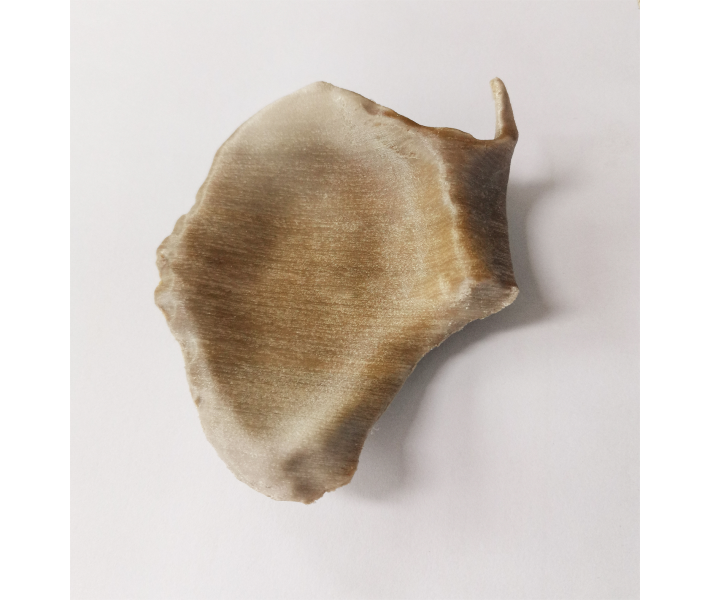 Impresora 3D CreatBot PEEK300