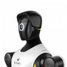 AgiBot G2 Wheeled Humanoid Robot