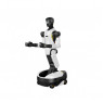 AgiBot G2 Wheeled Humanoid Robot