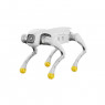Robot cuadrúpedo AgiBot D1 Edu