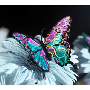 Impresora 3D Creality K2