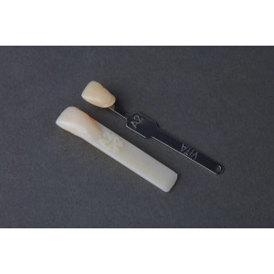 Resina Formlabs Premium Teeth HT A2 para Form 3, 1 kg 0,8 L