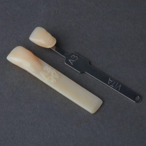 Resina Formlabs Premium Teeth HT A3 para Form 3, 1 kg 0,8 L