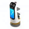 Рекламний робот-хостес PUDU KettyBot Pro White