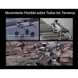 Perro robótico Unitree B2-W LiDAR