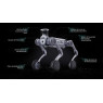 Perro robótico Unitree B2-W LiDAR