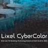 XGRIDS Lixel Cyber Color Yearly Subscription Licence