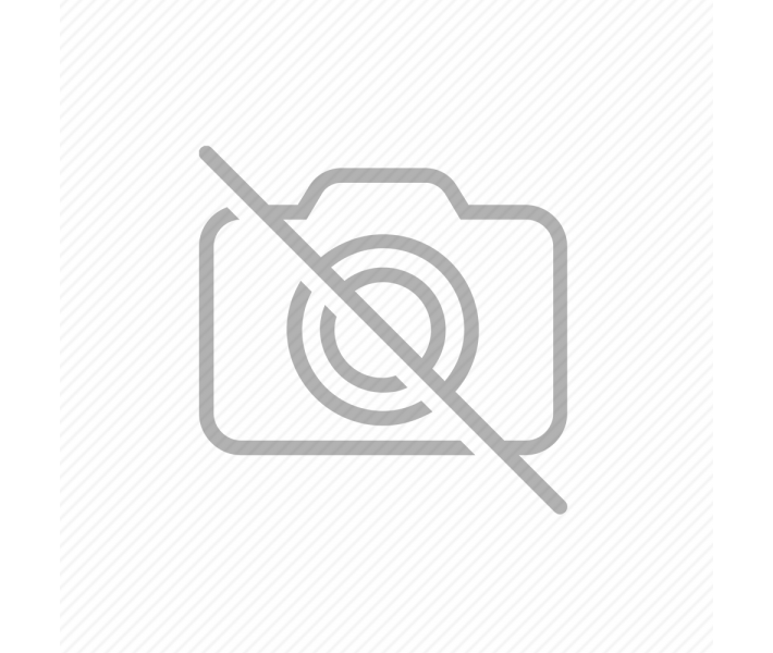 Impresora 3D Raise3D E2