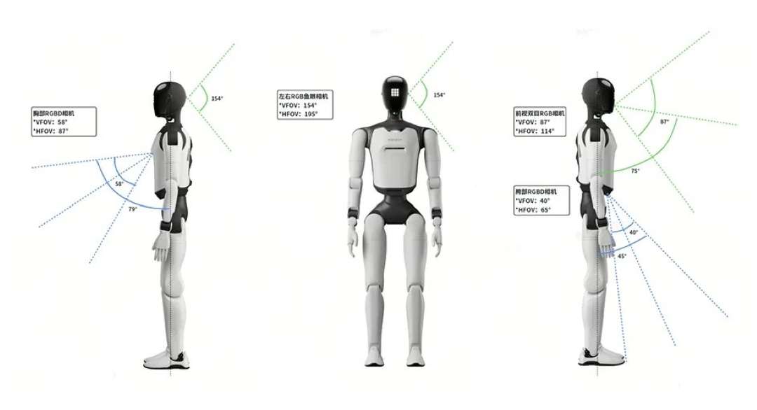 Field of view diagram of the robot's perception system from frontal and side perspectives
