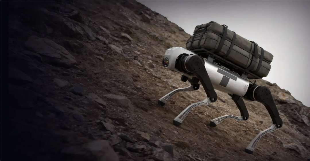 Robot cuadrúpedo subiendo por una pendiente rocosa y empinada con un módulo de carga sujeto con correas