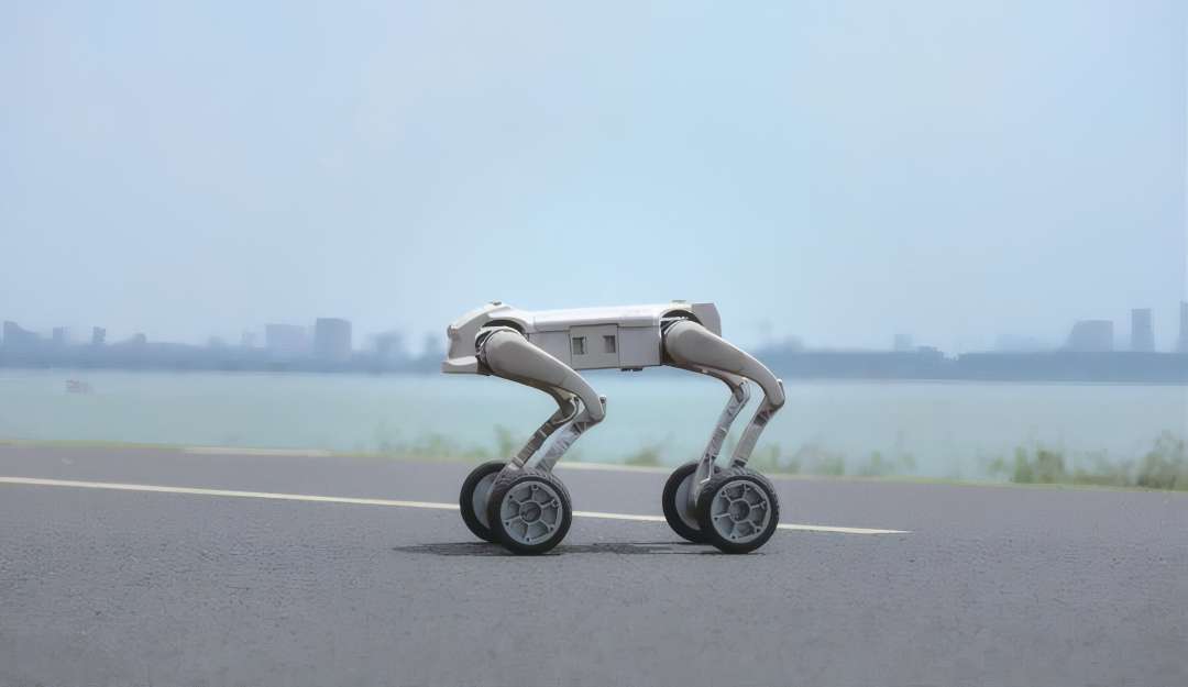 A light-coloured four-legged robot on bent jointed legs with wheels instead of feet stands on a grey road with white markings, with a lake and a hazy city skyline behind it.