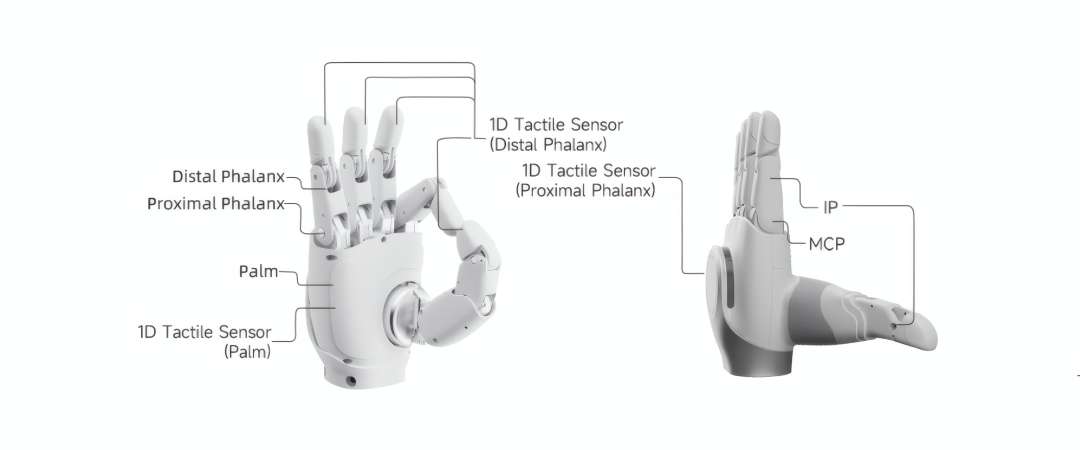 Estructura interna y distribución sensorial de la mano AgiBot OmniHand 3 Ultra-M