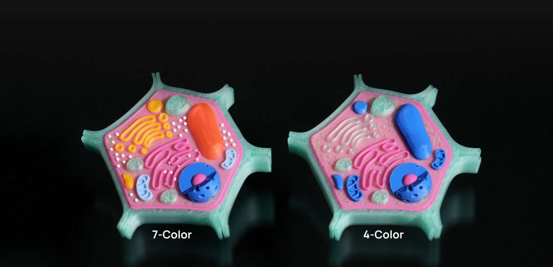 Comparación de dos modelos de células impresos: una versión detallada de siete colores y una versión simplificada de cuatro colores