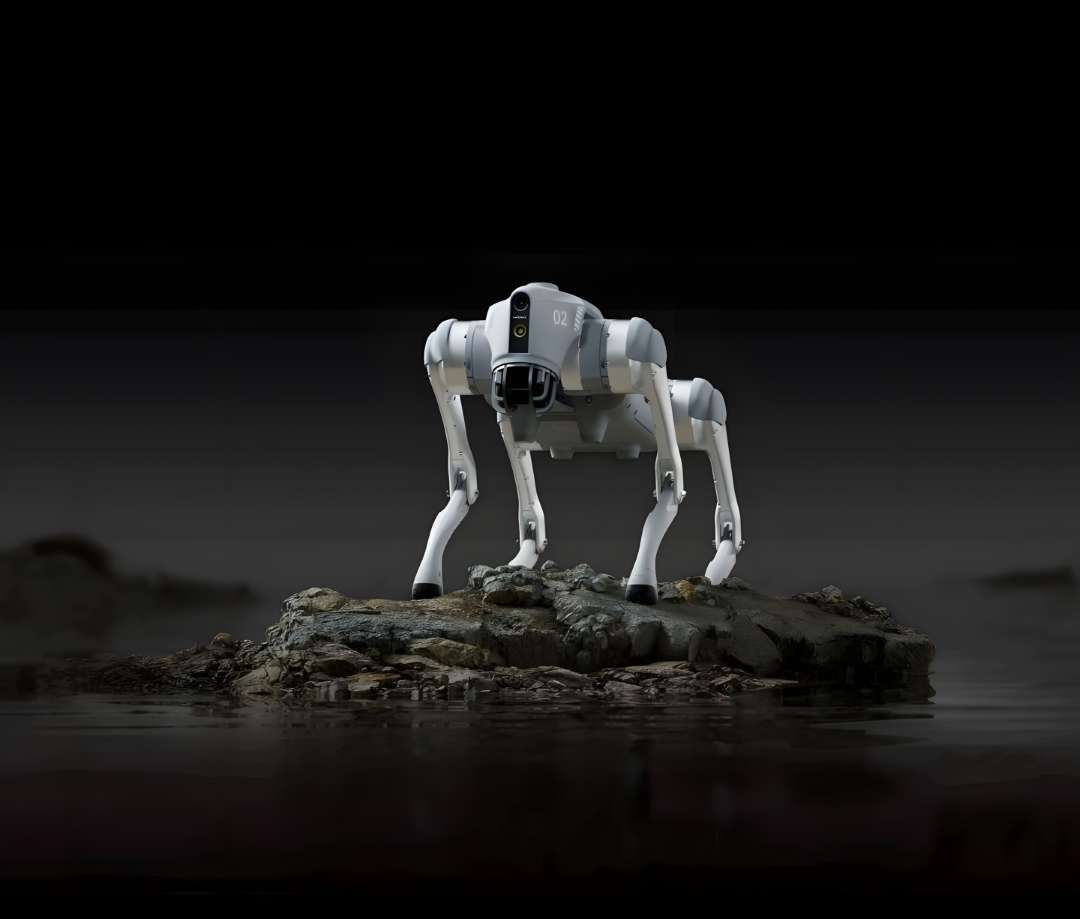 Robot cuadrúpedo Unitree Go2 Air sobre un afloramiento rocoso rodeado de agua oscura, demostrando estabilidad en terrenos irregulares