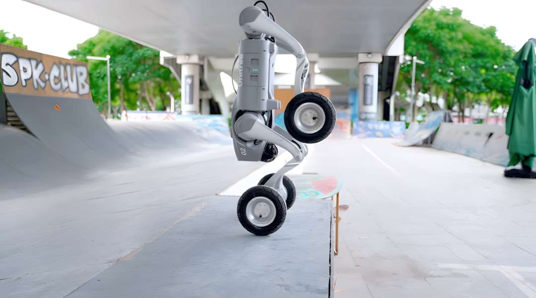 Perro robot con ruedas Unitree Go2-W equilibrándose en posición vertical sobre las dos ruedas traseras en un skatepark, demostrando el controlador de equilibrio dinámico de cuerpo completo en tiempo real